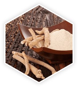 prostavive ingredient ashwagandha