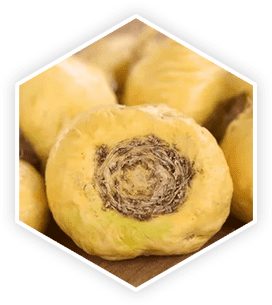 prostavive ingredient maca root