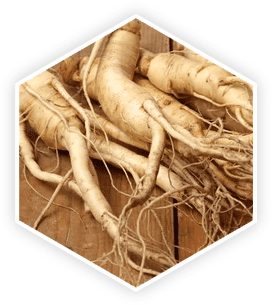 prostavive ingredient panax ginseng