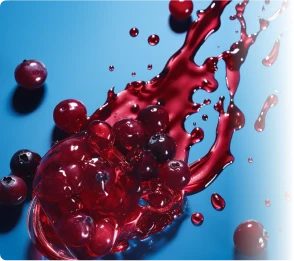 provadent ingredient cranberry extract