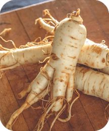 protoflow ingredient ginseng